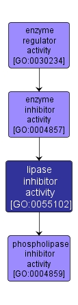 GO:0055102 - lipase inhibitor activity (interactive image map)