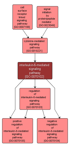 GO:0070102 - interleukin-6-mediated signaling pathway (interactive image map)