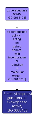 GO:0080102 - 3-methylthiopropyl glucosinolate S-oxygenase activity (interactive image map)
