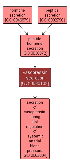 GO:0030103 - vasopressin secretion (interactive image map)