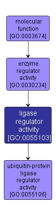 GO:0055103 - ligase regulator activity (interactive image map)