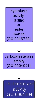 GO:0004104 - cholinesterase activity (interactive image map)