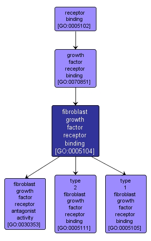 GO:0005104 - fibroblast growth factor receptor binding (interactive image map)