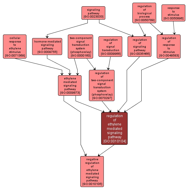 GO:0010104 - regulation of ethylene mediated signaling pathway (interactive image map)