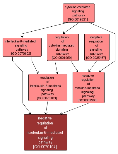 GO:0070104 - negative regulation of interleukin-6-mediated signaling pathway (interactive image map)