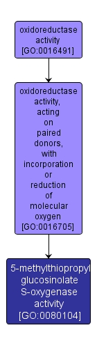 GO:0080104 - 5-methylthiopropyl glucosinolate S-oxygenase activity (interactive image map)