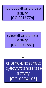 GO:0004105 - choline-phosphate cytidylyltransferase activity (interactive image map)