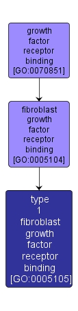 GO:0005105 - type 1 fibroblast growth factor receptor binding (interactive image map)