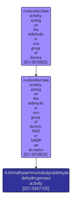 GO:0047105 - 4-trimethylammoniobutyraldehyde dehydrogenase activity (interactive image map)