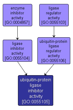 GO:0055105 - ubiquitin-protein ligase inhibitor activity (interactive image map)