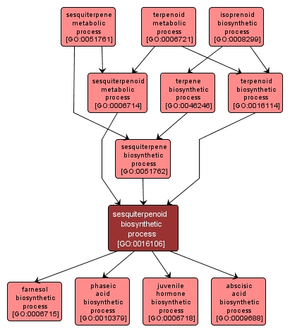 GO:0016106 - sesquiterpenoid biosynthetic process (interactive image map)