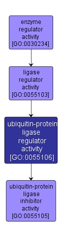 GO:0055106 - ubiquitin-protein ligase regulator activity (interactive image map)
