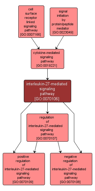 GO:0070106 - interleukin-27-mediated signaling pathway (interactive image map)