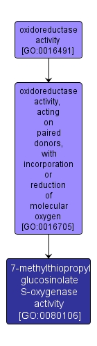 GO:0080106 - 7-methylthiopropyl glucosinolate S-oxygenase activity (interactive image map)
