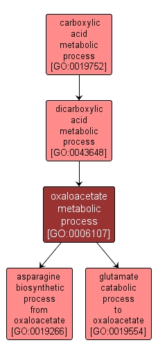 GO:0006107 - oxaloacetate metabolic process (interactive image map)