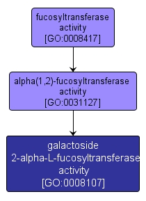 GO:0008107 - galactoside 2-alpha-L-fucosyltransferase activity (interactive image map)