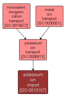 GO:0010107 - potassium ion import (interactive image map)