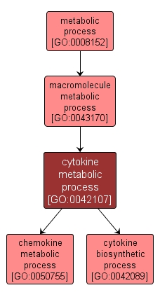 GO:0042107 - cytokine metabolic process (interactive image map)