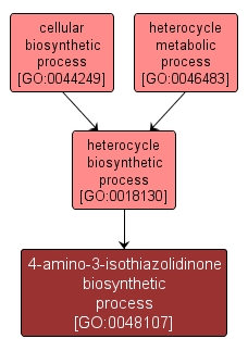 GO:0048107 - 4-amino-3-isothiazolidinone biosynthetic process (interactive image map)