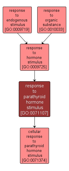 GO:0071107 - response to parathyroid hormone stimulus (interactive image map)