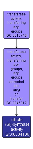 GO:0004108 - citrate (Si)-synthase activity (interactive image map)