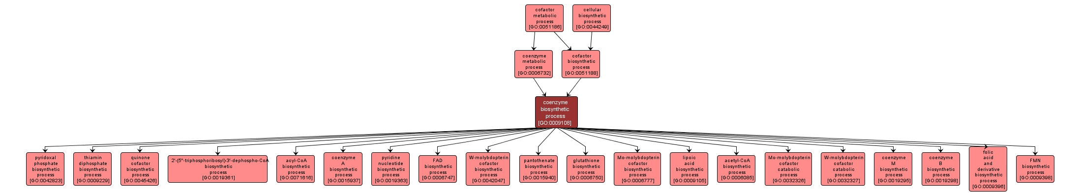 GO:0009108 - coenzyme biosynthetic process (interactive image map)