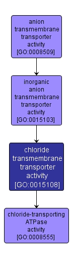 GO:0015108 - chloride transmembrane transporter activity (interactive image map)