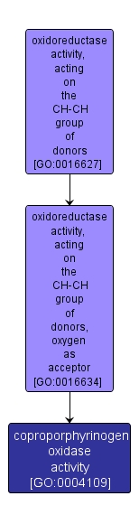 GO:0004109 - coproporphyrinogen oxidase activity (interactive image map)