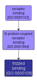 GO:0005109 - frizzled binding (interactive image map)
