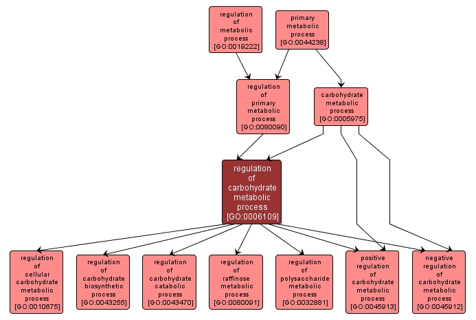 GO:0006109 - regulation of carbohydrate metabolic process (interactive image map)