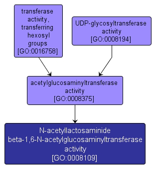 GO:0008109 - N-acetyllactosaminide beta-1,6-N-acetylglucosaminyltransferase activity (interactive image map)