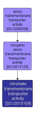 GO:0015109 - chromate transmembrane transporter activity (interactive image map)