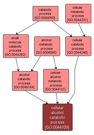 GO:0044109 - cellular alcohol catabolic process (interactive image map)