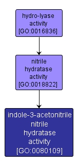 GO:0080109 - indole-3-acetonitrile nitrile hydratase activity (interactive image map)