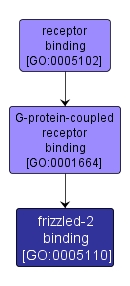 GO:0005110 - frizzled-2 binding (interactive image map)