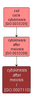 GO:0007110 - cytokinesis after meiosis I (interactive image map)