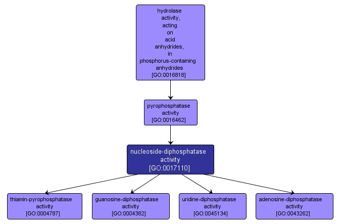 GO:0017110 - nucleoside-diphosphatase activity (interactive image map)