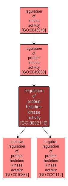 GO:0032110 - regulation of protein histidine kinase activity (interactive image map)