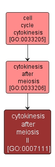 GO:0007111 - cytokinesis after meiosis II (interactive image map)
