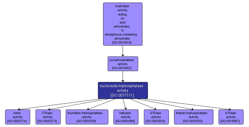 GO:0017111 - nucleoside-triphosphatase activity (interactive image map)