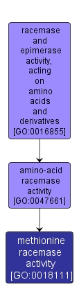 GO:0018111 - methionine racemase activity (interactive image map)