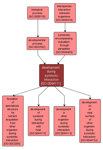 GO:0044111 - development during symbiotic interaction (interactive image map)