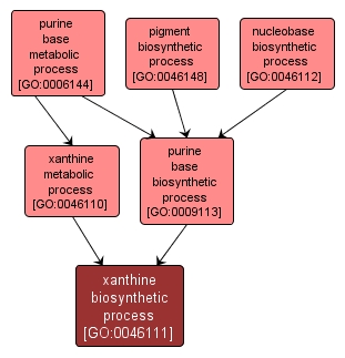 GO:0046111 - xanthine biosynthetic process (interactive image map)