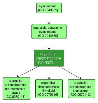 GO:0070111 - organellar chromatophore (interactive image map)