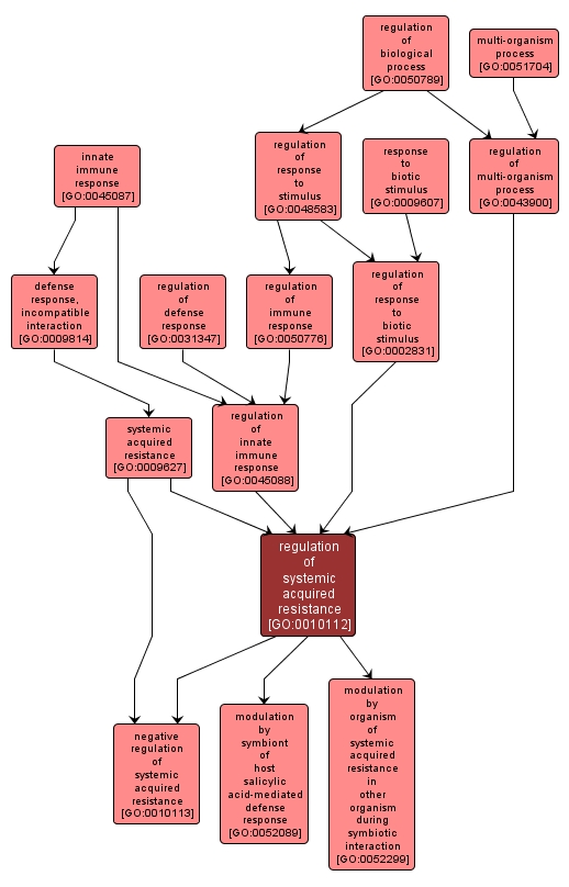 GO:0010112 - regulation of systemic acquired resistance (interactive image map)