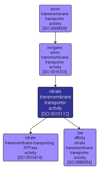 GO:0015112 - nitrate transmembrane transporter activity (interactive image map)