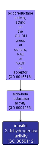 GO:0050112 - inositol 2-dehydrogenase activity (interactive image map)