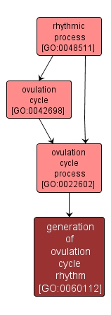 GO:0060112 - generation of ovulation cycle rhythm (interactive image map)