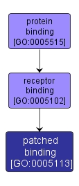 GO:0005113 - patched binding (interactive image map)