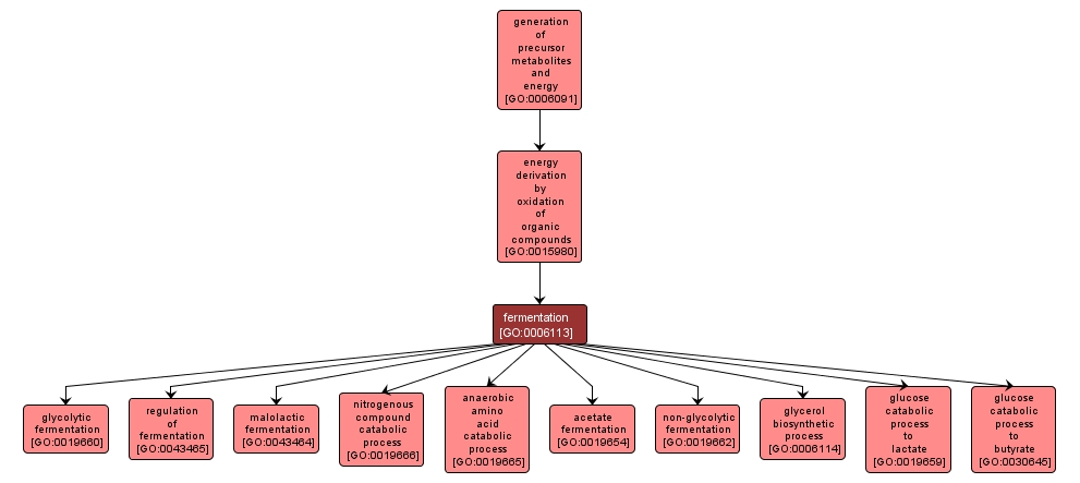 GO:0006113 - fermentation (interactive image map)